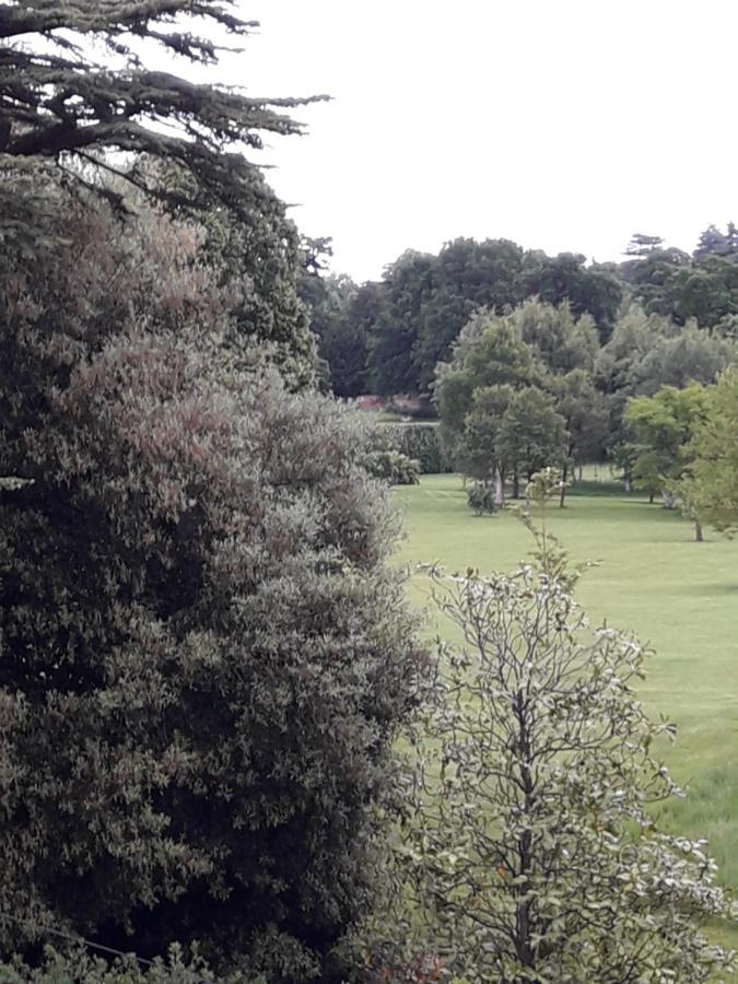 Havisham House Bed & Breakfast Woburn Bagian luar foto